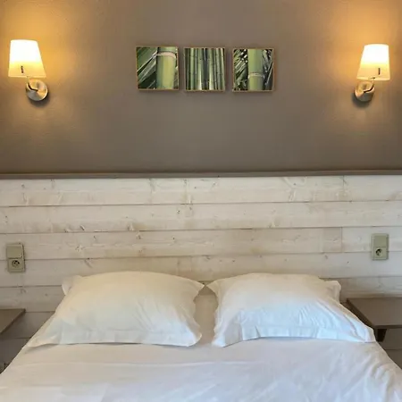 Hotel Saint-pierre 3*